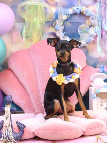 20240807神桜ちゃん 